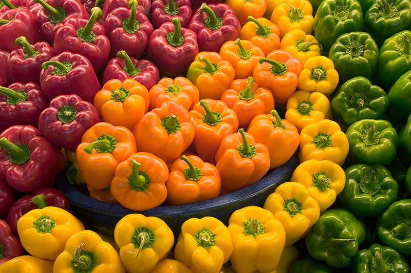 red, yellow, orange, and green bell peppers