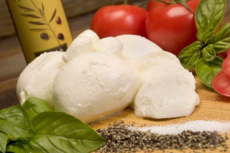 Fresh Mozzarella