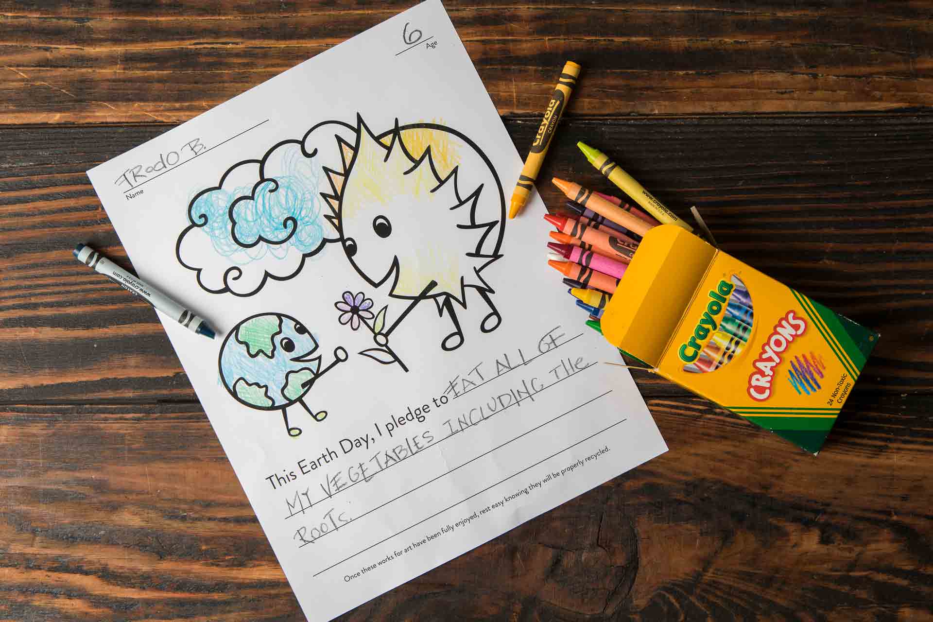 Earth Day Green Pledge Coloring Contest Page with Crayons 
