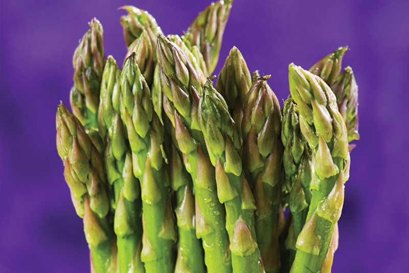 asparagus