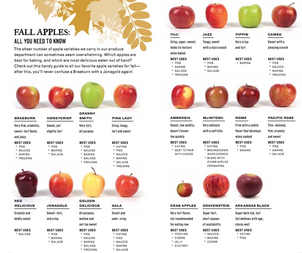 Types Of Apples List