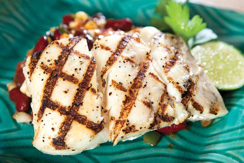 grilled halibut fillet