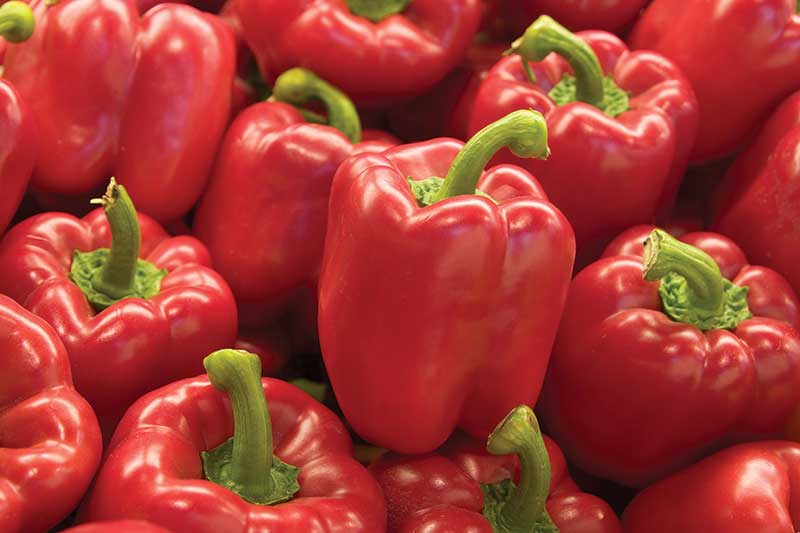 red bell peppers