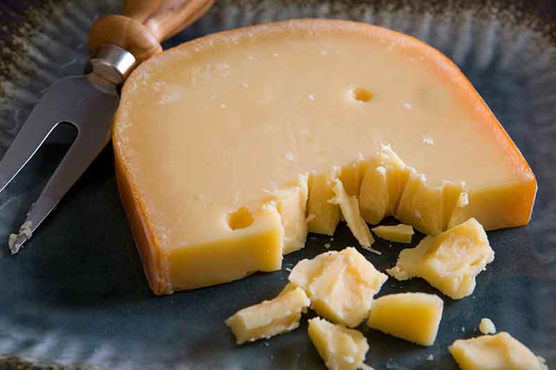 gouda