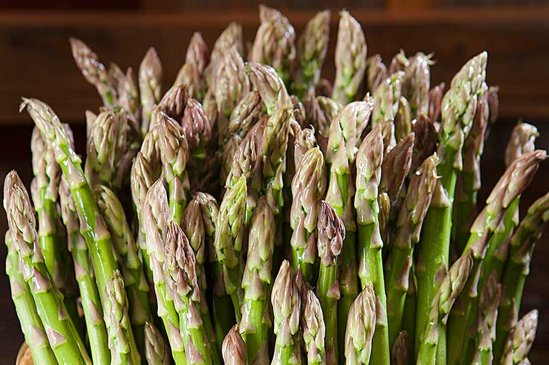 asparagus