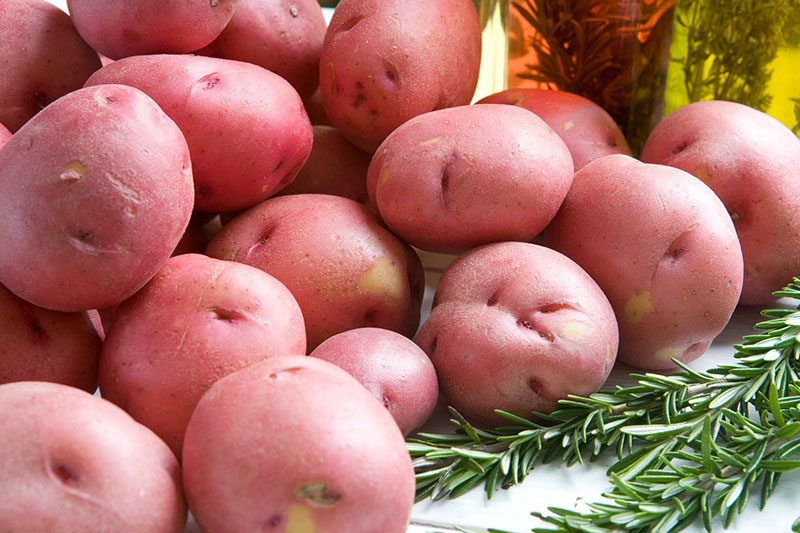 red potatoes