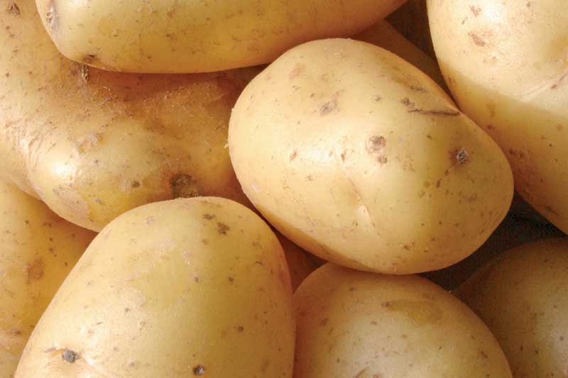 potatoes